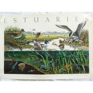 Art Poster 1995 Larry W. Duke, ESTUARIES 36x24 Nature Coastal NOAA NOS Vintage